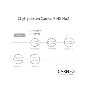 Smart prsteň Carneo RING NO.1, veľkosť 11