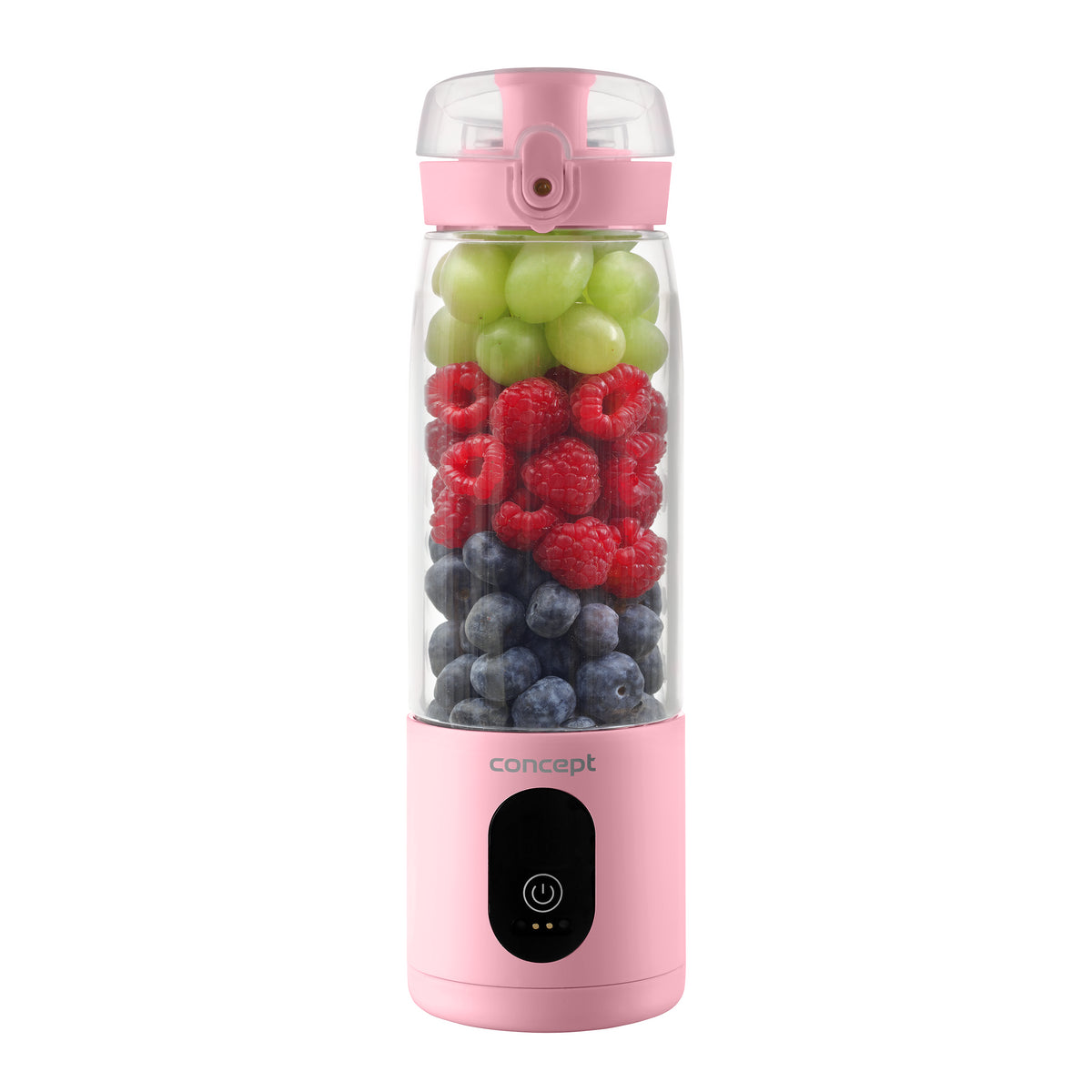 Smoothie FitMaker Concept SM4003,315W