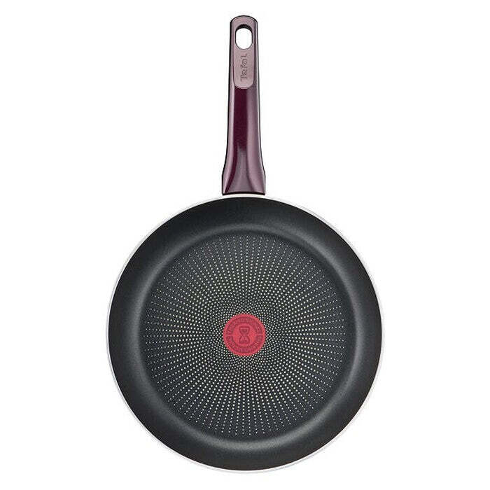 Panvica Tefal Resist Intense D5220483, 24cm